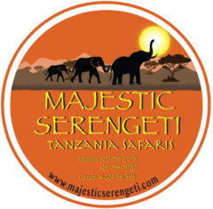 Majestic Serengeti